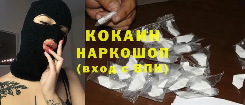 где можно купить наркотик  Камышин  Cocaine Боливия 